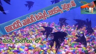 lakshmi tanneeru kolatam in fish exhibition ongole [upl. by Euginomod159]