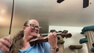 Three violin sizes  18 12 34 testing intonation and sound quality on different fiddles [upl. by Arymas742]