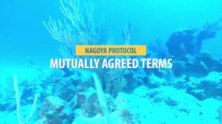 THE NAGOYA PROTOCOL Wapishana language [upl. by Letizia]