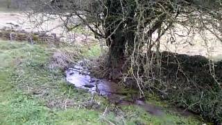 Source of the River Avon Bath amp Bristol near Tetbury [upl. by Acirfa672]