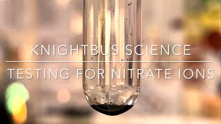 TESTING FOR NITRATE IONS LAB DEMONSTRATION [upl. by Htessil557]