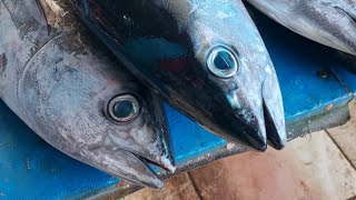 Live 04 Aug 24 ‼️🔥 Cutting fresh yellowfin tuna by skilled hands at Sorong market in Indonesia [upl. by Meldoh]