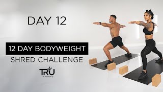 12 Day Bodyweight Shred Workout Challenge  Day 12 Yoga Mobility Flow  Massy Arias [upl. by Volpe]