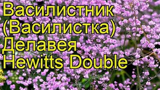 Василистник делавея Хевиттс Дабл Краткий обзор описание thalictrum delavayi Hewitts Double [upl. by Yecart]