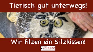 Tierisch gut unterwegs Wir filzen ein Sitzkissen [upl. by Tremml]