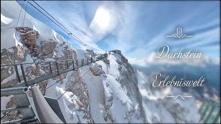 Dachstein Gletscherwelt  Gondel Skywalk Eispalast Hängebrücke Treppe ins Nichts und Wanderung [upl. by Goodhen294]