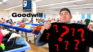 32 Goodwill Bins Thrifting Haul Worth 600 [upl. by Nitsraek]