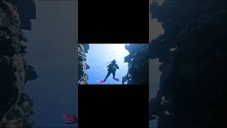 Diving fun in Roatan [upl. by Wash519]