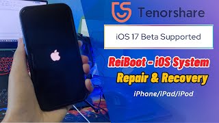 2023 Best iOS System Repair Tool Tenorshare ReiBootSupported iOS 17 [upl. by Fabiano]