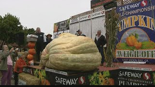 Massive 2560pound pumpkin sets new US record for Halloween 2022 [upl. by Lamori]