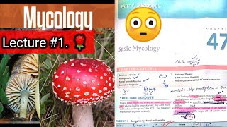 Basic mycology 🛑 LECTURE 1 Chap 47 Difference between fungi and bacteria hyphaeyt Lab diagnosis [upl. by Leboff123]