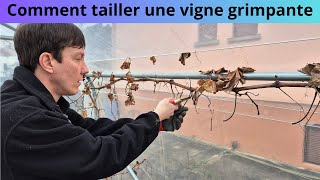 Comment tailler une vigne grimpante [upl. by Eillah338]