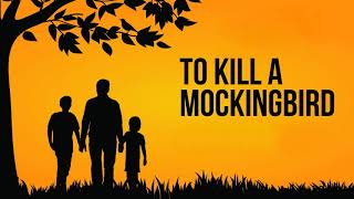 To Kill A Mockingbird Audiobook Complete Chapter 25 [upl. by Polish]