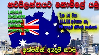 නවසීලන්තයට නොමිලේ යමු  දවස් 14 න් වීසා  IELTSඕනේම නැ  New Zealand job New Zealand [upl. by Niela]