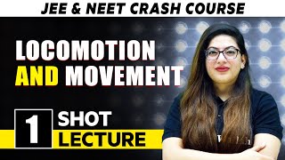 Locomotion and Movement  One Shot Lecture  CHAMPIONS  NEET CRASH COURSE 2022 [upl. by Suollecram]