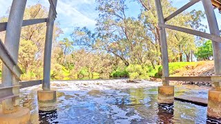 Enjoying A Few Dabs Amongst Nature  Kayaking The Murray River  Fly High Adventures [upl. by Fairfax]