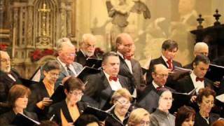 K Jenkins  Benedictus from The Armed Man  A Mass for Peace [upl. by Maag155]