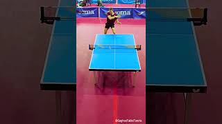 GREAT POINT  Drop Shot tabletennisstrokes [upl. by Ycniuq]