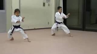 KATA 3 SHOTOKAN HEIAN SANDAN [upl. by Seline310]