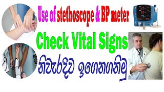 The use of stethoscope amp BP meter  Check Vital Signs in Sinhala [upl. by Aluap]