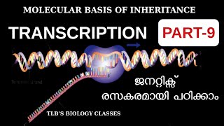 Molecular Basis of InheritancePart 9TranscriptionMachinery and EnzymesClass 12 Zoology [upl. by Nirehtak493]