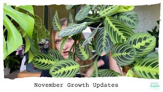 Growth Updates amp Stem Rot Storytime [upl. by Eramal5]