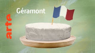 le Géramont un fromage français pour papilles allemandes  Karambolage  ARTE [upl. by Coleville]