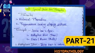 Special stain for parasites  Giemsa stain preparation  Malarial parasite slide preparation [upl. by Llewsor581]