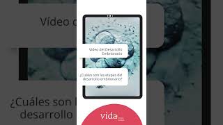 Desarrollo embrionario IVF día a día hasta llegar a Blastocisto  Vida Fertility [upl. by Durrell]