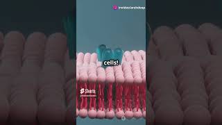 What is the Plasma Membrane biology facts cellbiology science quiz education genetics [upl. by Urita]