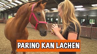 KAN PARINO FLEMEN  PaardenpraatTV [upl. by Yeldahc]