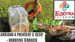 Andiamo a prendere il geco ad ESOTIKA  Unboxing terrario [upl. by Ylhsa]