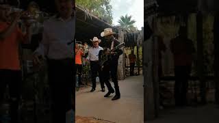 Miguel Montoya cantando el corrido de Cándido Rodríguez [upl. by Ardaed]