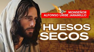 Los huesos secos  Monseñor Alfonso Uribe Jaramillo [upl. by Ahsata]