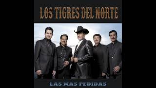 Los Tigres Del Norte • Jefe De Jefes Audio [upl. by Eldreda]