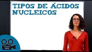 Ácidos nucleicos  tipos y clasificación [upl. by Slaughter]