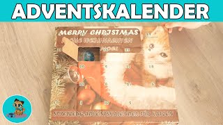 Spielzeug Adventskalender für KATZEN im Test ✅ [upl. by Yard881]