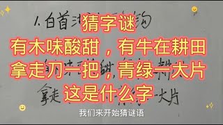 字谜：有木味酸甜，有牛在耕田，拿走刀一把，青绿一大片，猜一字 [upl. by Ylekalb]