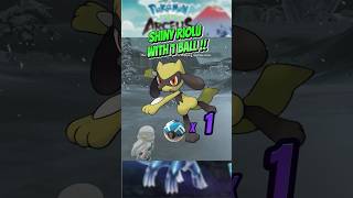 Pokemon Legends Arceus  Catch Shiny Riolu with 1 ball  pokemonlegendsarceus pokemonarceus [upl. by Iek]