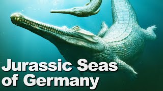 The Jurassic Seas of Germany  BoneHeads in Germany Part 1 [upl. by Gustav]