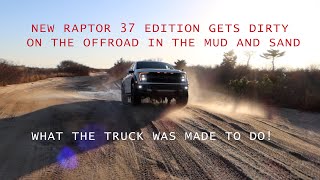 All New Ford F150 RAPTOR 37 EDITION goes Off Roading on The Beach Dunes and gets DIRTY BAJA MODE [upl. by Frazier]