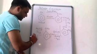 quotREIMER TIEMANNquot reaction of phenol organic chemistry class 12th by arvind arora [upl. by Rew987]