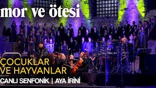 mor ve ötesi  Çocuklar ve Hayvanlar Canlı Senfonik  Aya İrini  Official Video [upl. by Alusru129]