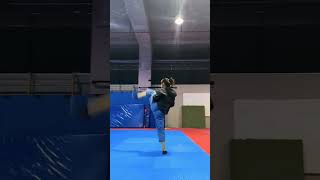 bredanfou taekwondo sportmartialarts combatsport martialarts sporttaekwondo fightingsport [upl. by Nylsaj]