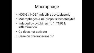 Amino acid metabolism  Nitric Oxide NO [upl. by Castera]