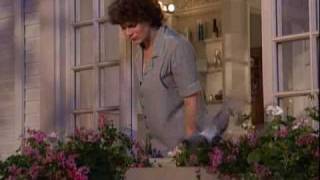 Home Improvement Groin Pulls Groin Pains Part 3 of 3 Full Episode [upl. by Harbed]