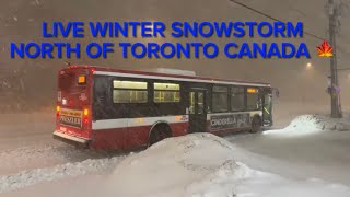 LIVE WINTER SNOWSTORM NORTH OF TORONTO [upl. by Enelegna]