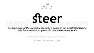 Pronunciation of Steer  Definition of Steer [upl. by Hagai]