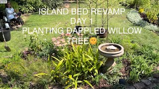 ISLAND BED REVAMP DAY 1 PLANTING DAPPLED WILLOW TREE [upl. by Frodin596]