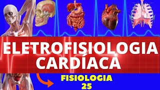 ELETROFISIOLOGIA CARDÍACA  POTENCIAIS DE AÇÃO DO CORAÇÃO  FISIOLOGIA CARDIOVASCULAR [upl. by Holihs]